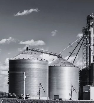 Agroalimentaire