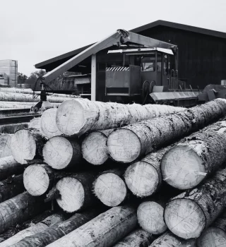 Bois et scierie