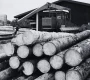 Bois et scierie