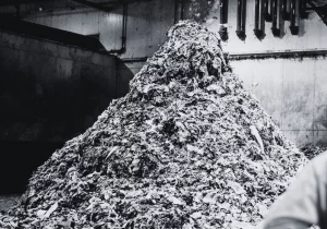Recyclage et déchets