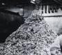 Recyclage et déchets